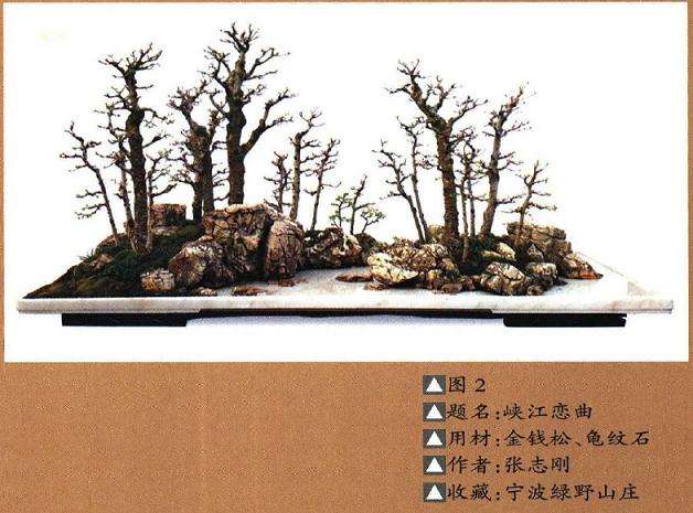 盆景的造型及布局中涉及很多元素