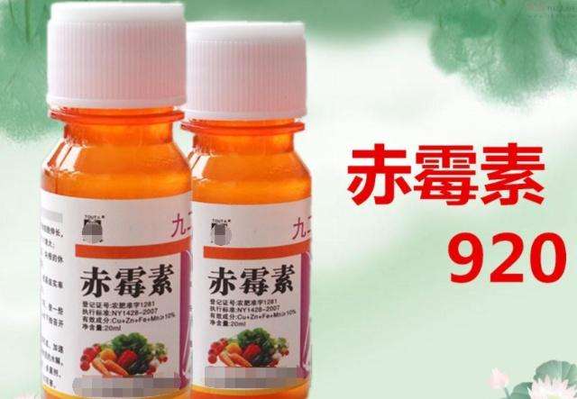 雀舌黄杨盆景的发芽与施肥有什么关系