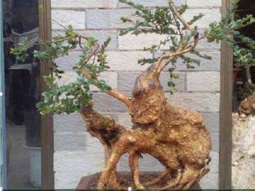 常年挖下山桩为生