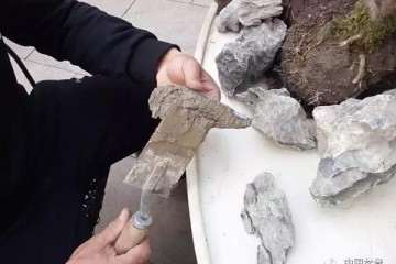 水旱盆景怎么加工石料的方法 图片
