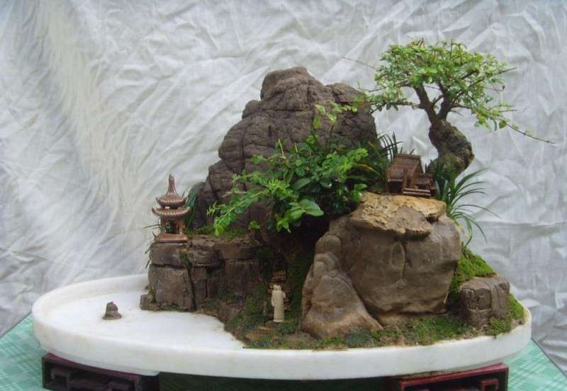 制作山水盆景怎么踞截锯截的方法