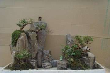 制作山水盆景怎么山石组合的方法