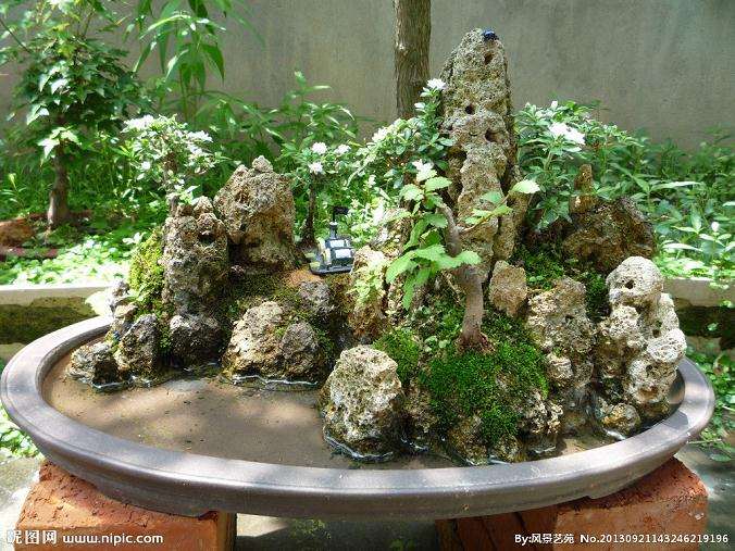 水旱盆景制作方法及步骤