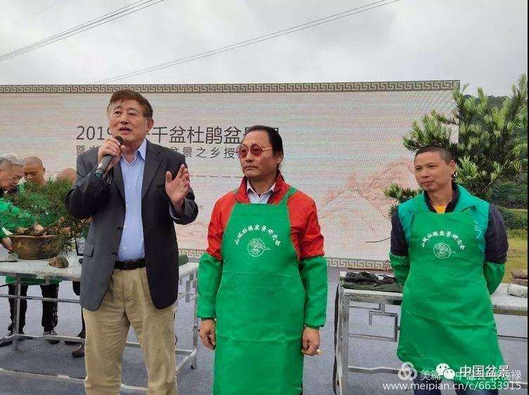 重庆千盆杜鹃盆景展大师现场制作图片