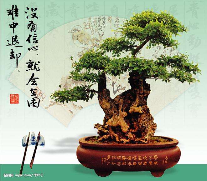 黄荆下山桩在春季怎么施肥的方法