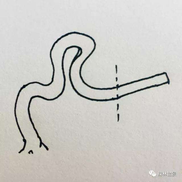 下山桩的根部怎么造型