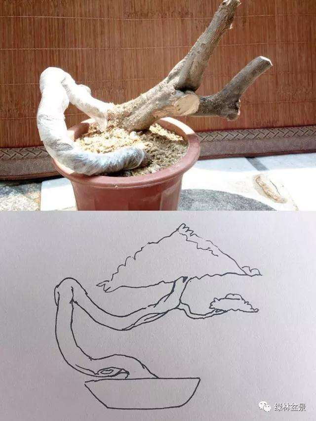 下山桩的根部怎么造型设计