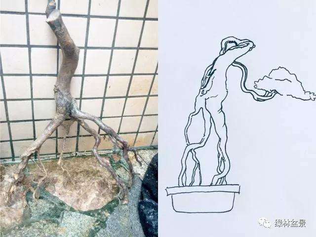 下山桩的根部怎么造型设计