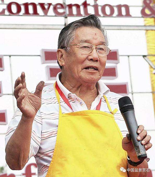 图解 胡乐国用高干垂枝法制作松树盆景