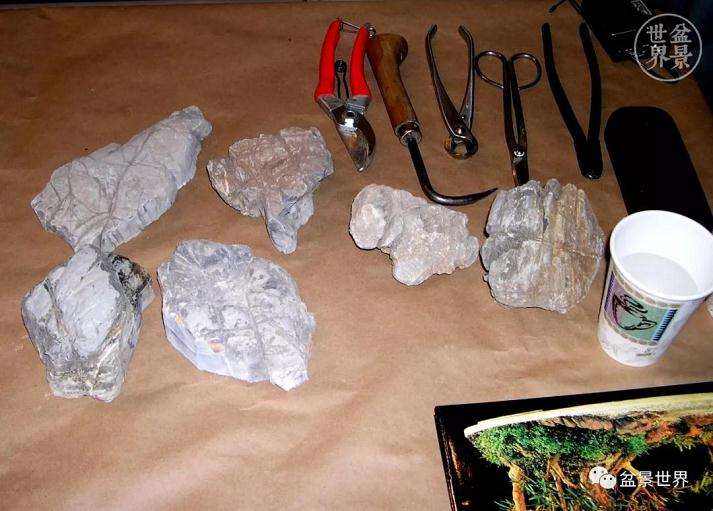 图解 赵庆泉大师制作做丛林盆景的过程