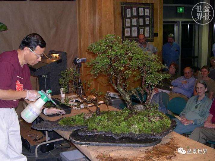 图解 赵庆泉大师制作做丛林盆景的过程