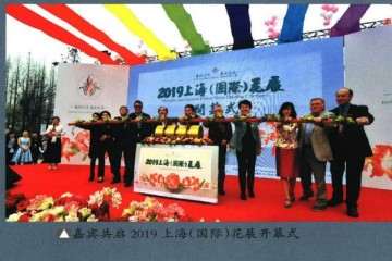 2019年 第二届上海国际青年盆景论坛