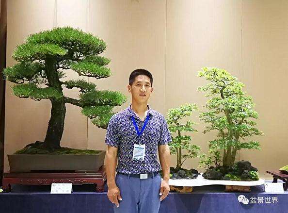 当代盆景圈内少壮派的代表人物 张志刚