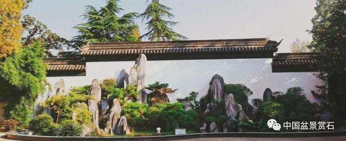 今天我们聊聊山水盆景