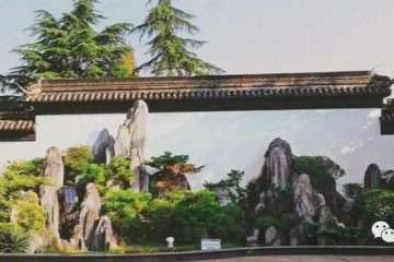 今天我们聊聊山水盆景 怎么创新与发展