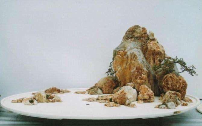 怎么才能使山水盆景的发展空间更大