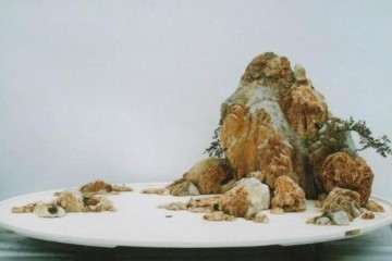 怎么才能使山水盆景的发展空间更大