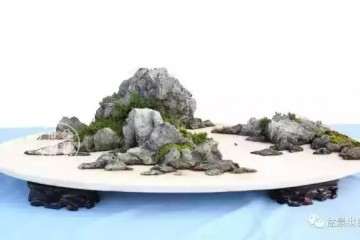山水盆景也可以有很多种玩法 图片