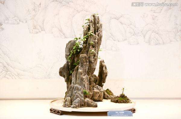 怎么让山水盆景走进大众生活