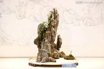 怎么让山水盆景走进大众生活 图片