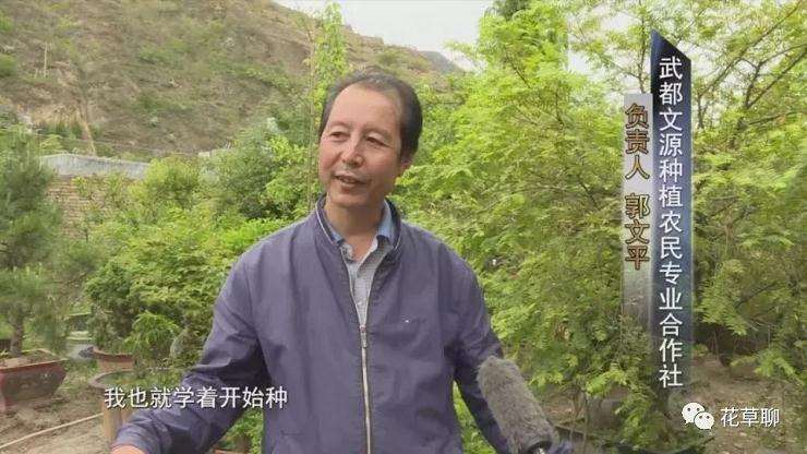 一个园中有千盆盆景