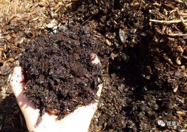 怎么制作最好的盆景土壤