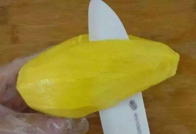 怎么制作芒果盆景生根发芽的方法