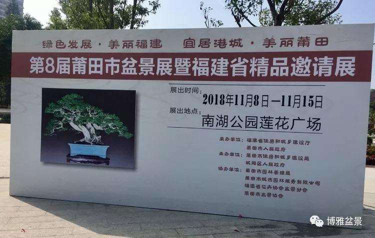 莆田市第八届盆景展