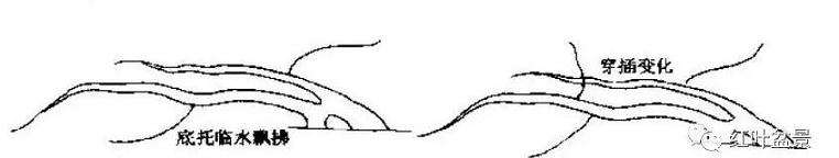 怎么制作双干临水式盆景的方法