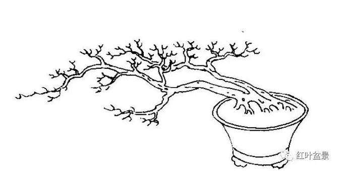 怎么制作双干临水式盆景的方法