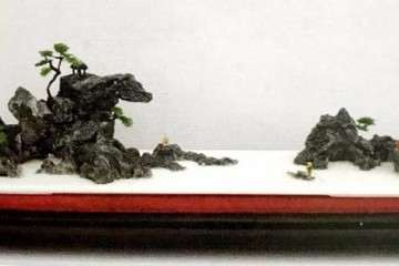 山石微型盆景需要掌握的制作方法