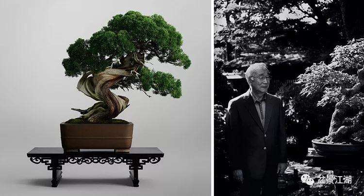 纪念大宫盆景村成立90周年