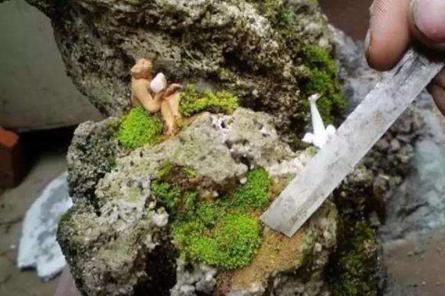 怎么制作山水盆景的3个步骤