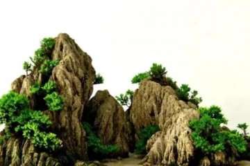 怎么制作山水盆景的3个步骤 图片
