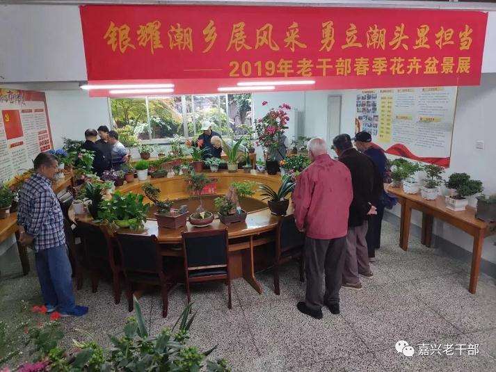 海宁举办老干部花卉盆景展