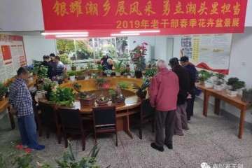 海宁举办老干部花卉盆景展