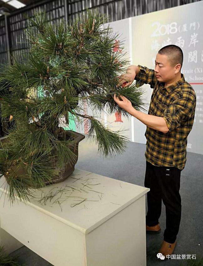 怎么制作大型临水盆景的方法