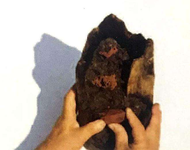 图解 制作苔藓盆景的12个步骤