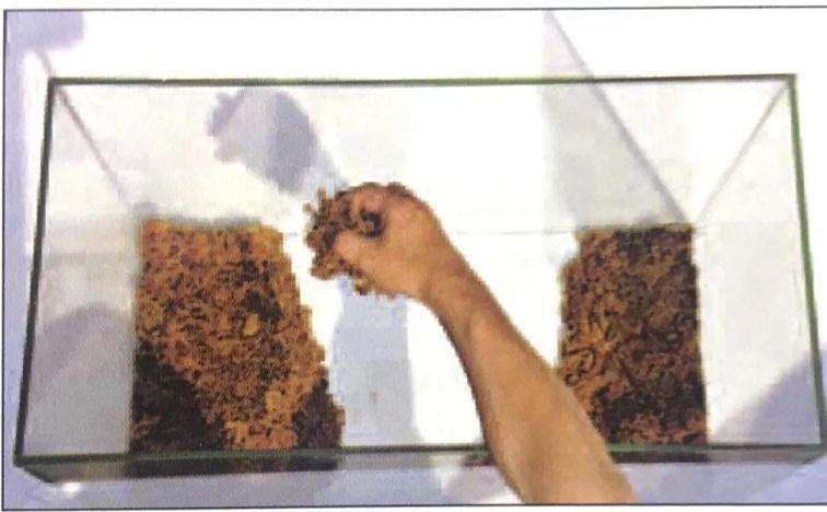 图解 制作苔藓盆景的12个步骤