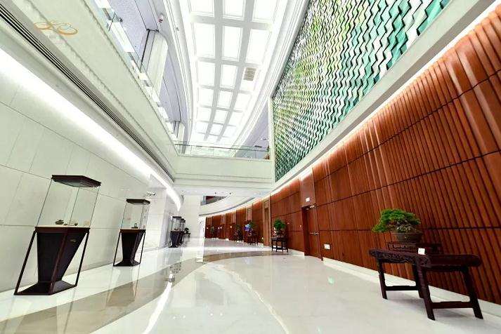 如皋盆景助力全球苏商大会