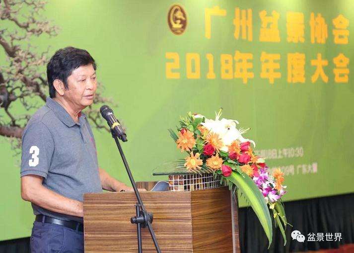 粤港澳台500余人共聚广州