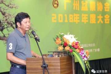 粤港澳台500余人共聚广州 见证一场盆景盛会