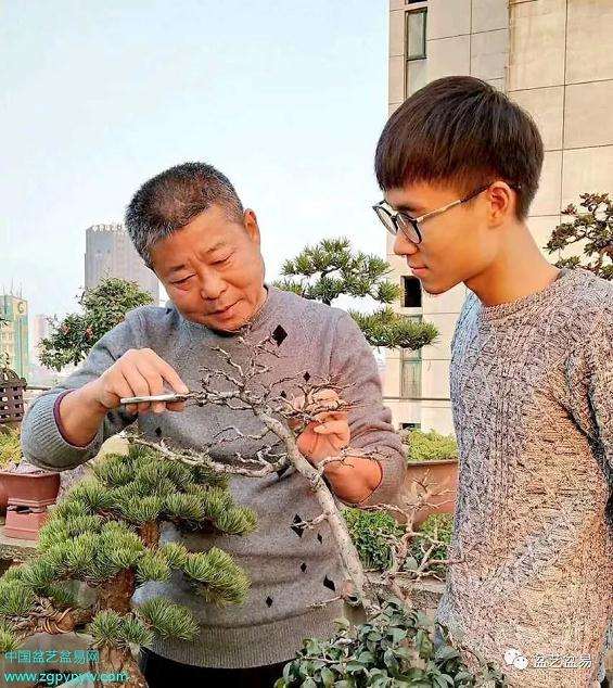 人民警察也学习怎么制作盆景