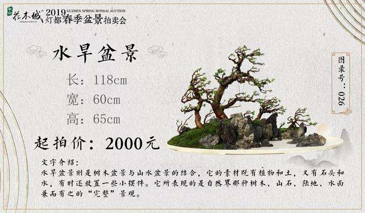 五月灯都夏季盆景拍卖会
