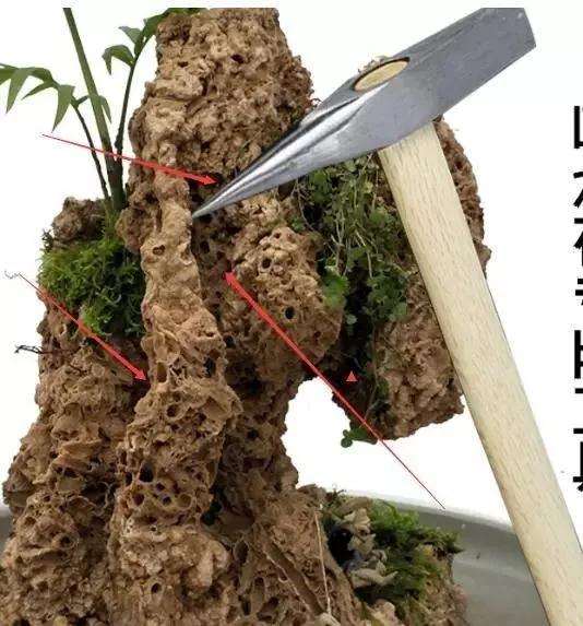 怎么样制作吸水石盆景的方法