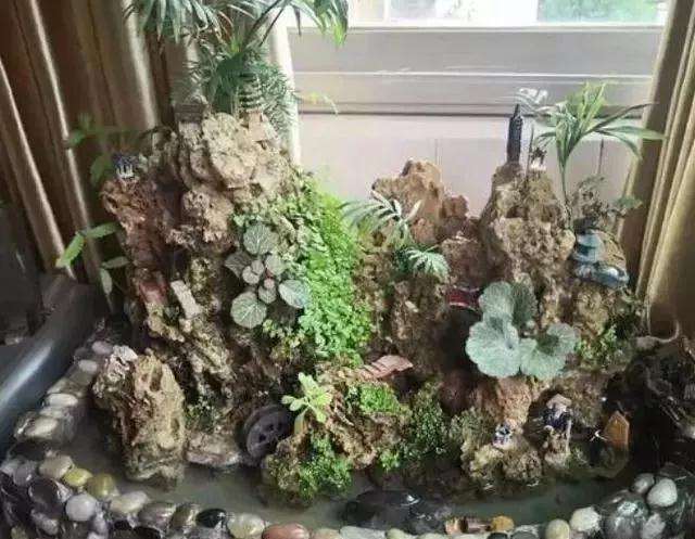 怎么样制作吸水石盆景的方法