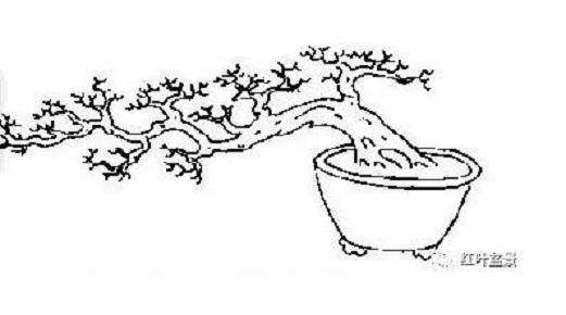 盆景的几架怎么配置与陈设 图片