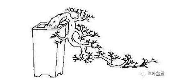 盆景的几架怎么配置与陈设 图片