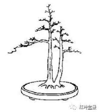 盆景的几架怎么配置与陈设 图片