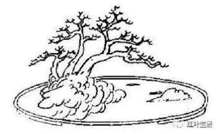 盆景的几架怎么配置与陈设 图片